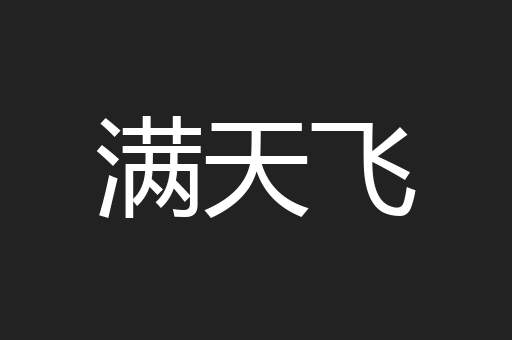 满天飞