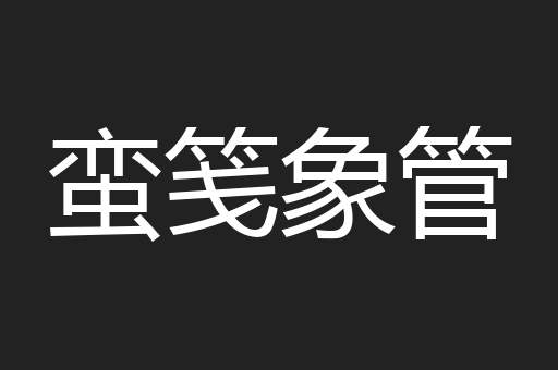 蛮笺象管