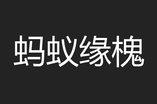 蚂蚁缘槐