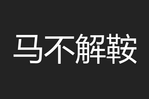 马不解鞍