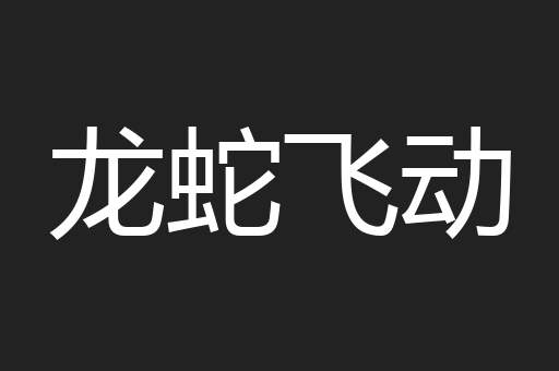 龙蛇飞动