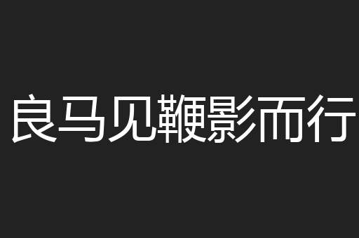良马见鞭影而行