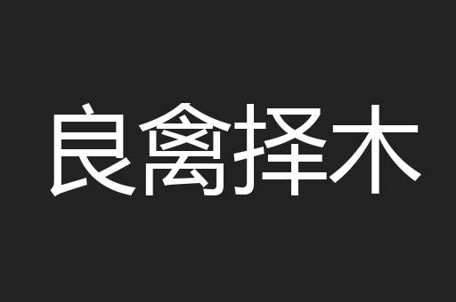 良禽择木
