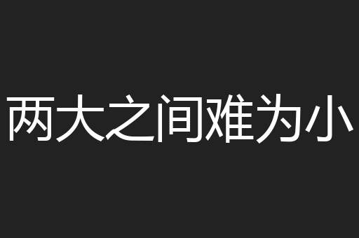 两大之间难为小