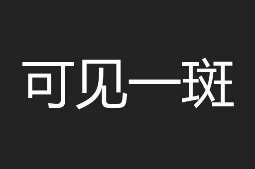 可见一斑