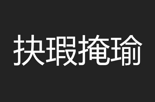 抉瑕掩瑜
