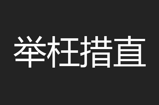 举枉措直