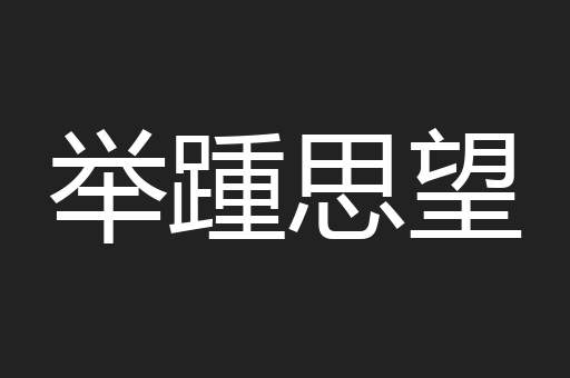 举踵思望