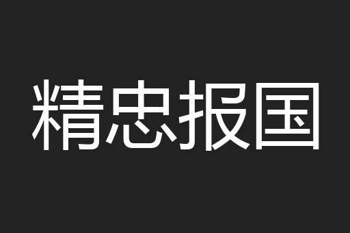 精忠报国