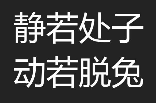静若处子动若脱兔