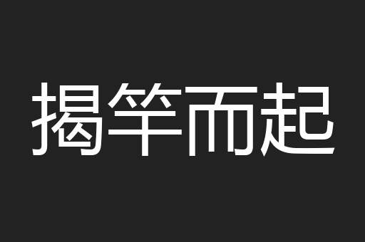 揭竿而起