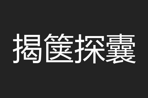 揭箧探囊