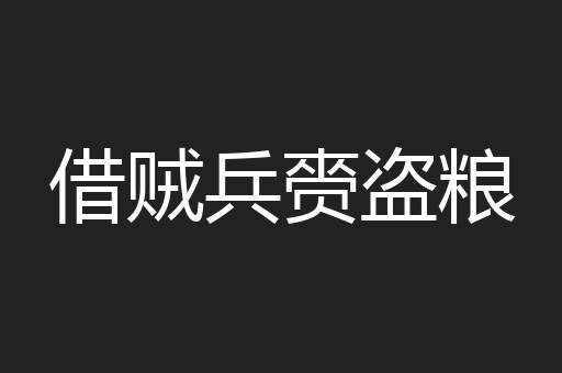 借贼兵赍盗粮