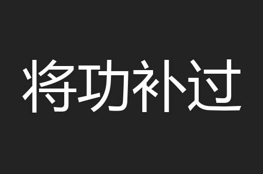 将功补过