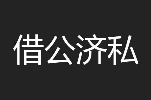 借公济私