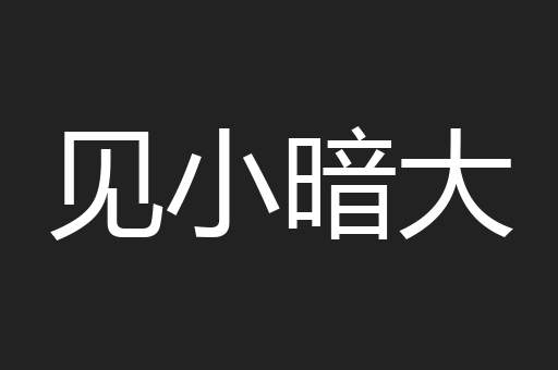 见小暗大