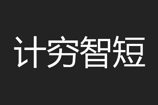 计穷智短