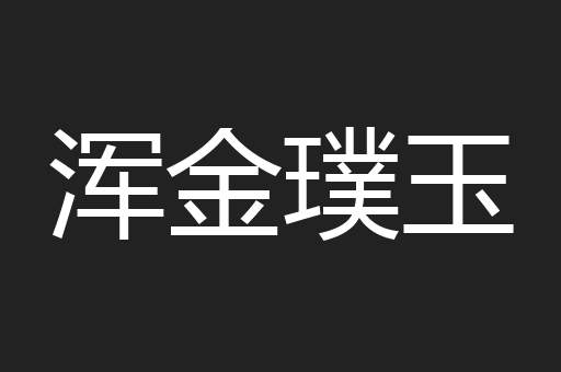 浑金璞玉