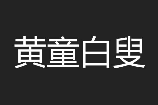 黄童白叟