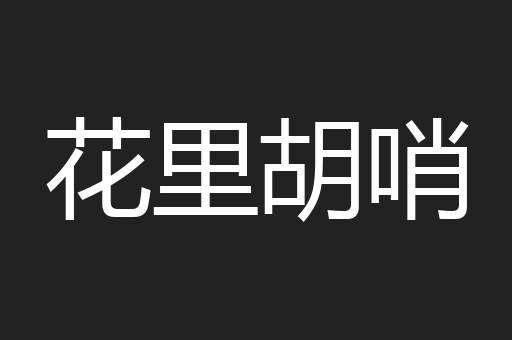 花里胡哨