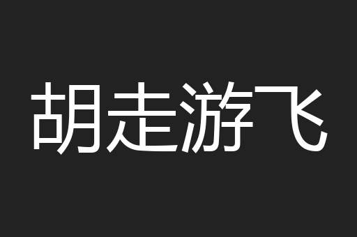 胡走游飞