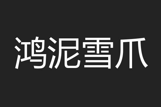 鸿泥雪爪