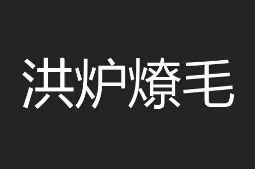 洪炉燎毛