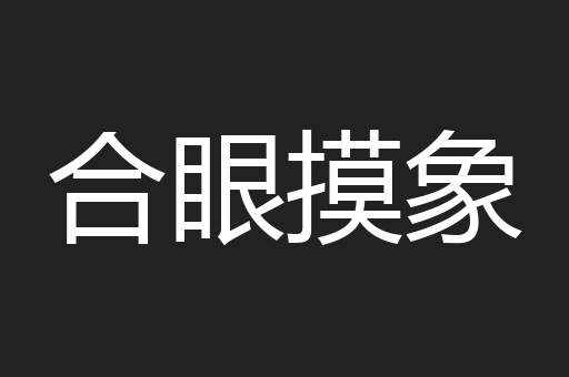 合眼摸象