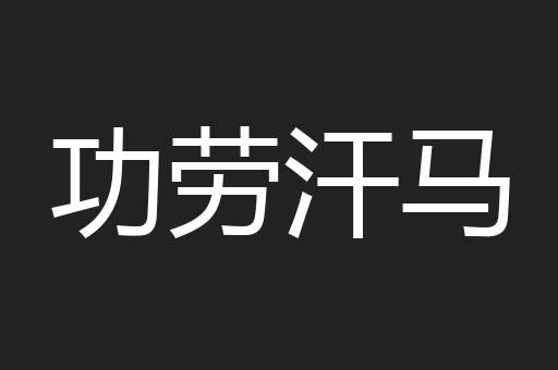 功劳汗马