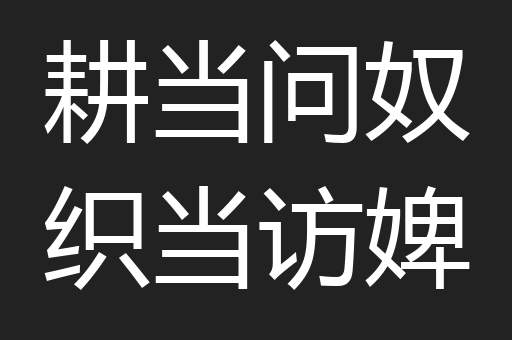 耕当问奴织当访婢