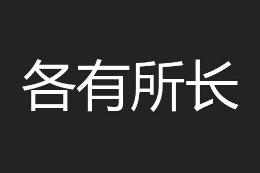 各有所长