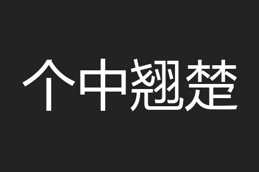 个中翘楚