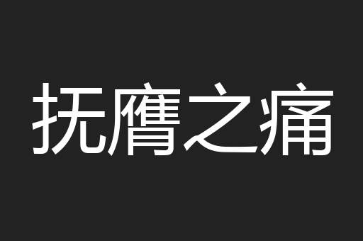 抚膺之痛