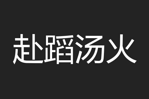 赴蹈汤火