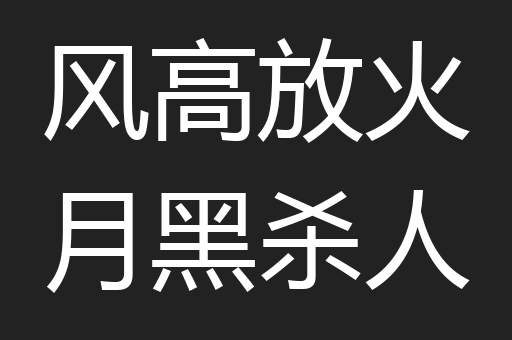 风高放火月黑杀人