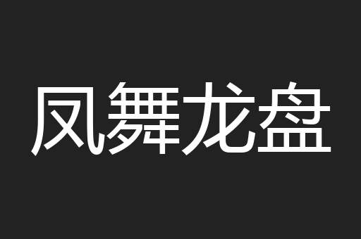 凤舞龙盘