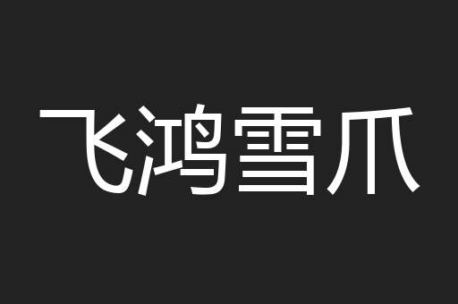 飞鸿雪爪