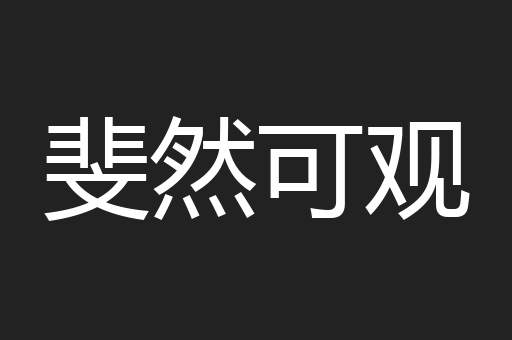 斐然可观