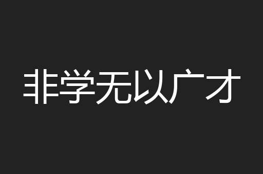 非学无以广才