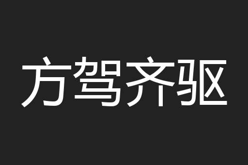 方驾齐驱