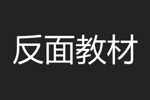 反面教材