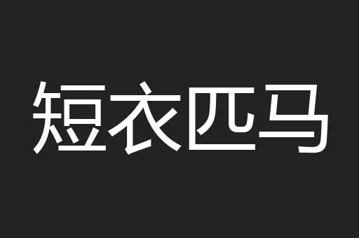 短衣匹马