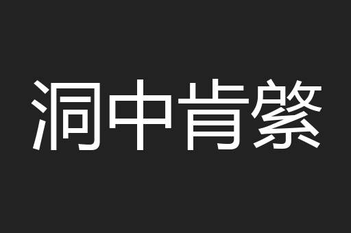 洞中肯綮