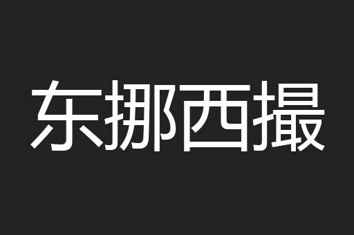 东挪西撮