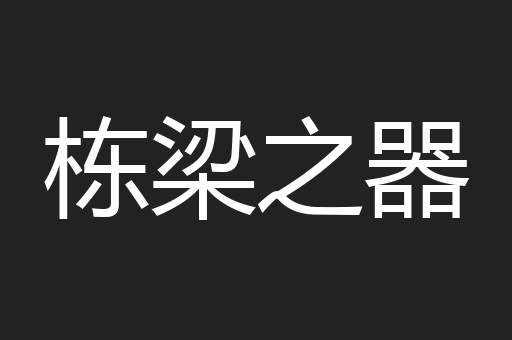 栋梁之器