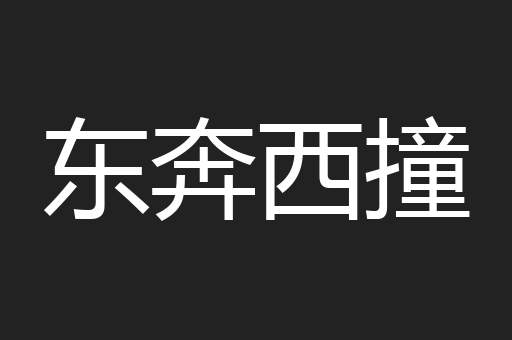 东奔西撞