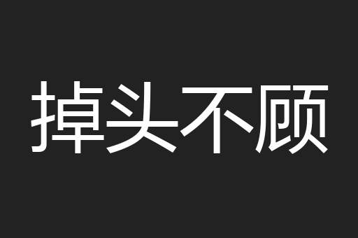 掉头不顾