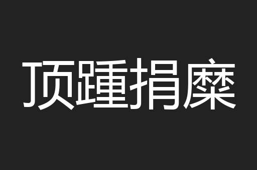 顶踵捐糜