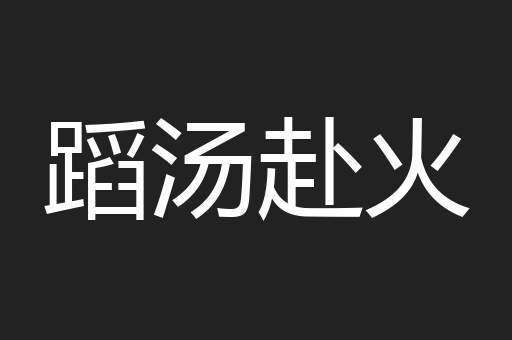 蹈汤赴火