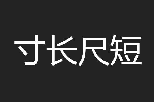 寸长尺短